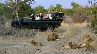 Best Safaris in South Africa