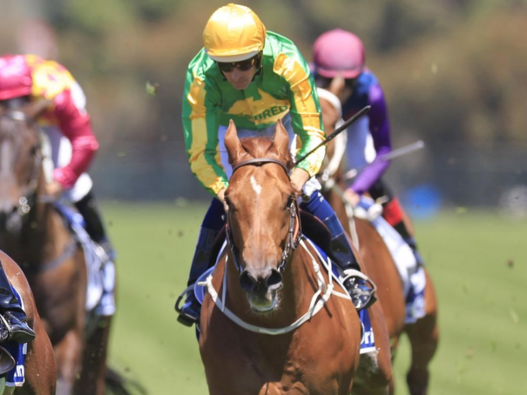 Lesser Known Sydney Racing Tips for Horse Betting Success